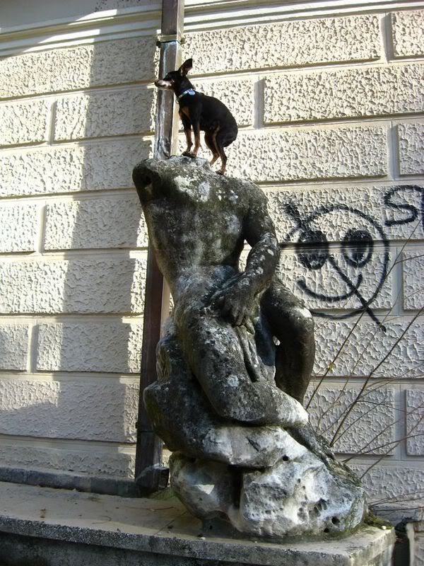 Photo Sharing and Video Hosting at Photobucket