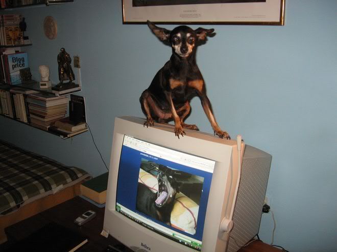 Photo Sharing and Video Hosting at Photobucket