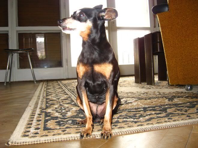 Photo Sharing and Video Hosting at Photobucket