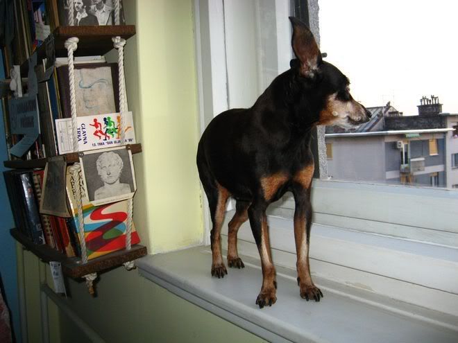 Photo Sharing and Video Hosting at Photobucket