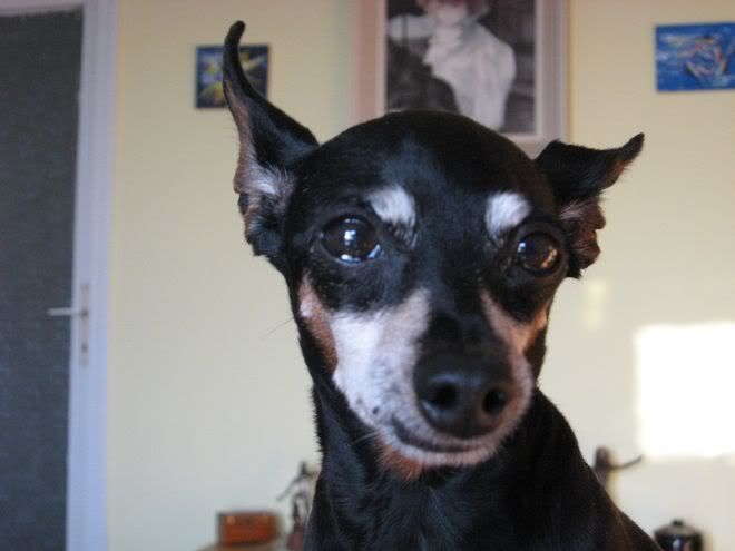 Photo Sharing and Video Hosting at Photobucket