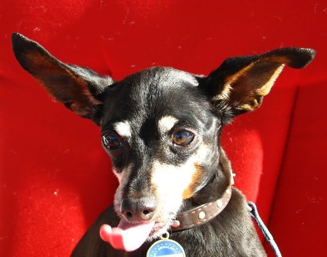 Photo Sharing and Video Hosting at Photobucket