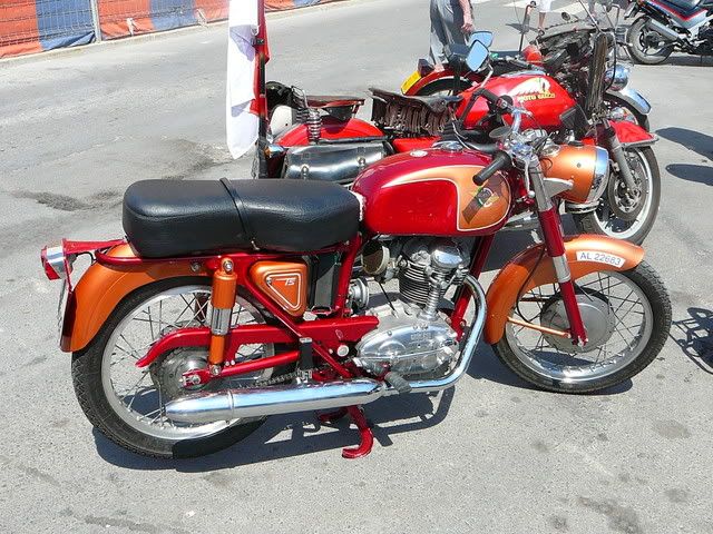 P1000368.jpg