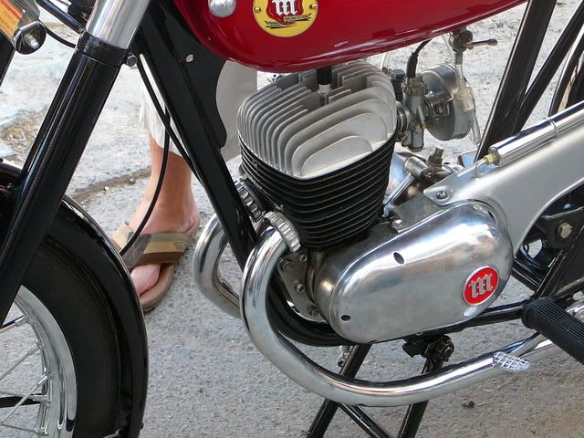 P1000389.jpg