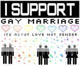 Gay Marriage Pictures, Images and Photos