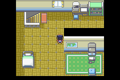 [PokeCommunity.com] Pokemon White Light