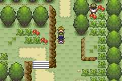 [PokeCommunity.com] Pokemon White Light