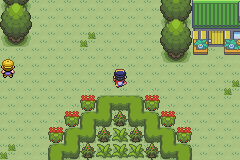 [PokeCommunity.com] Pokemon White Light