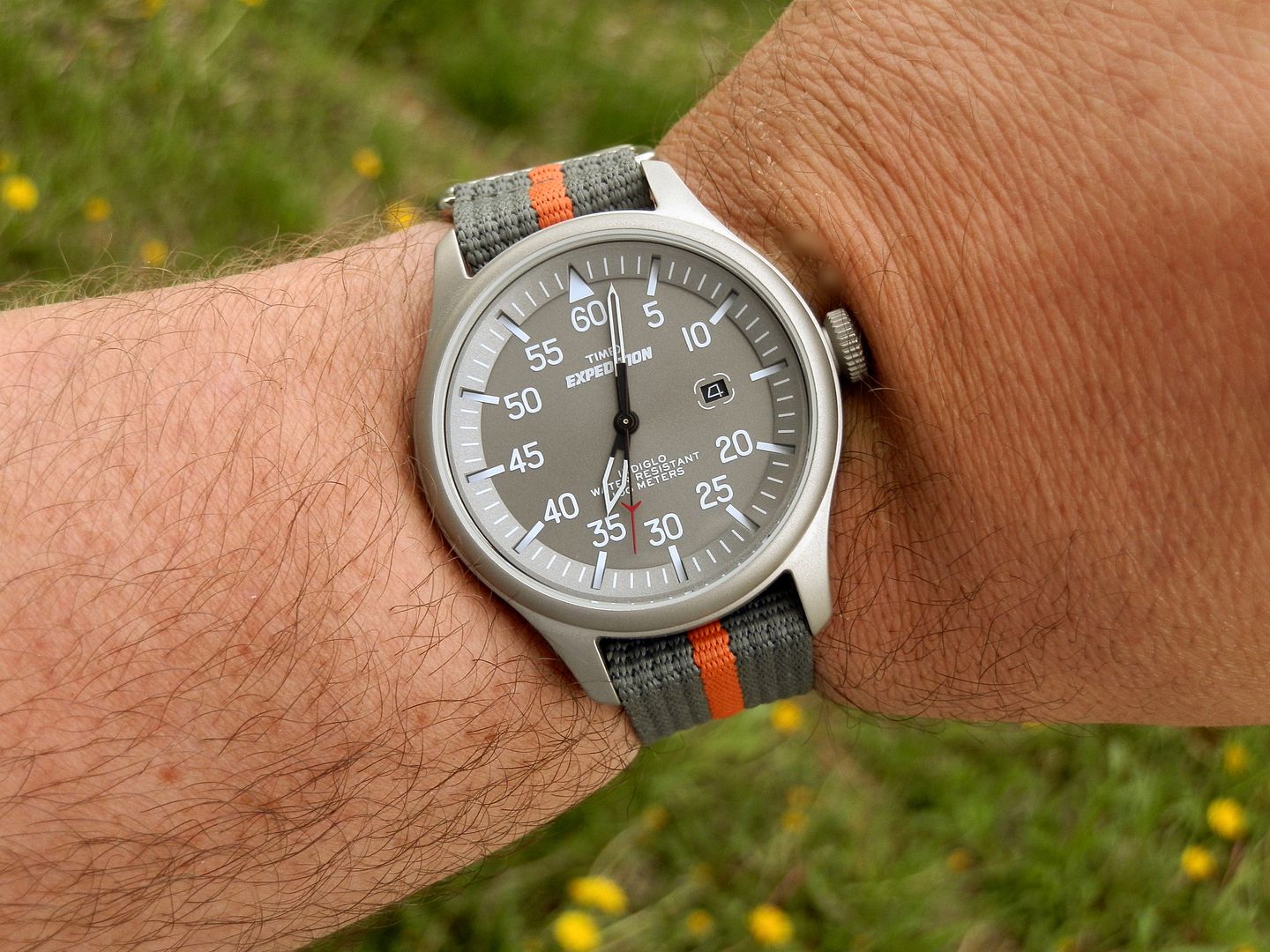 timex expedition field chronograph