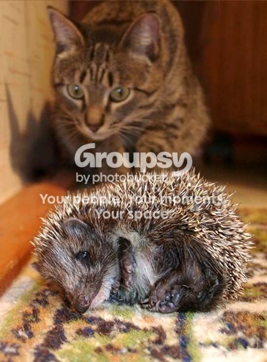 Prickly