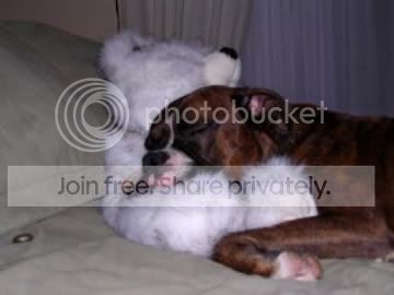 Poindexter006.jpg picture by AshleyRC