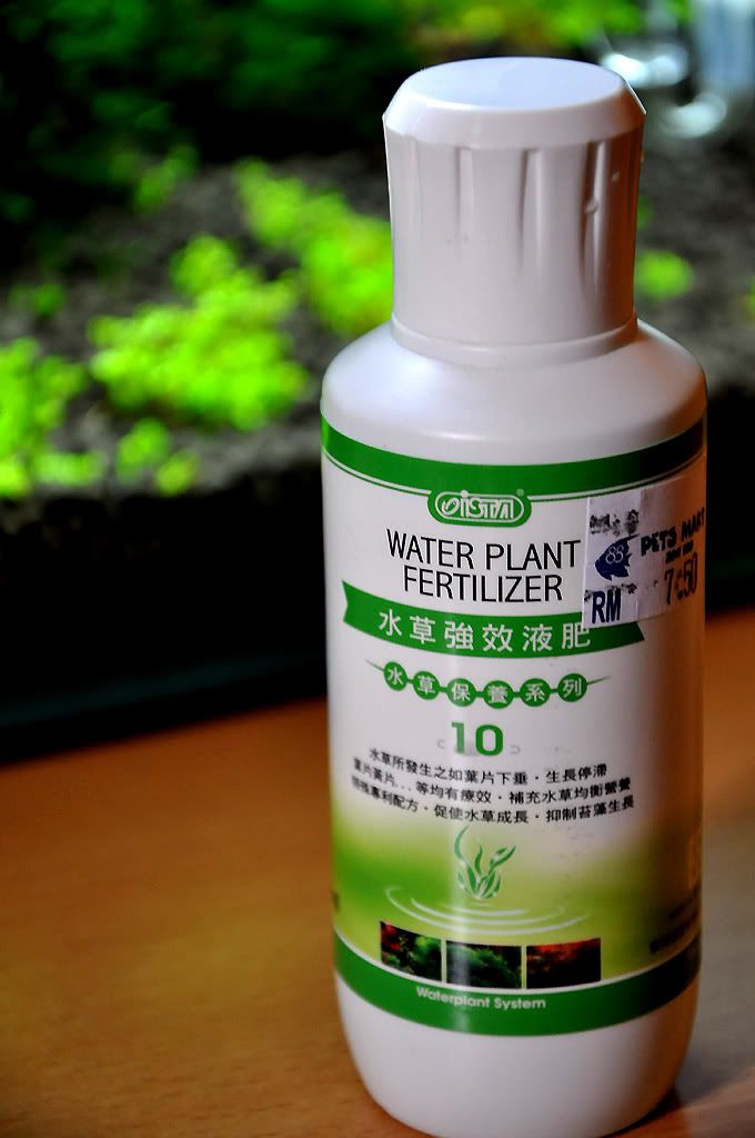 Planted Aquarium V6